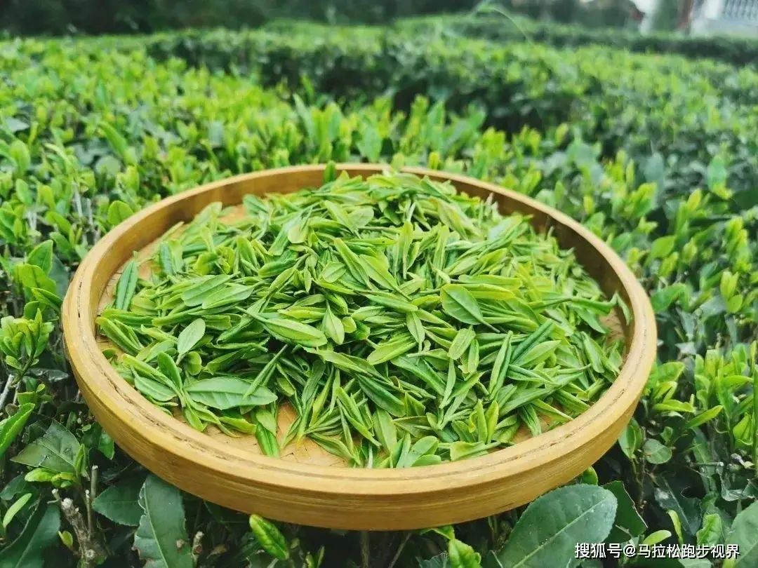 重建抵抗力丨冬季频繁中招必吃的食物