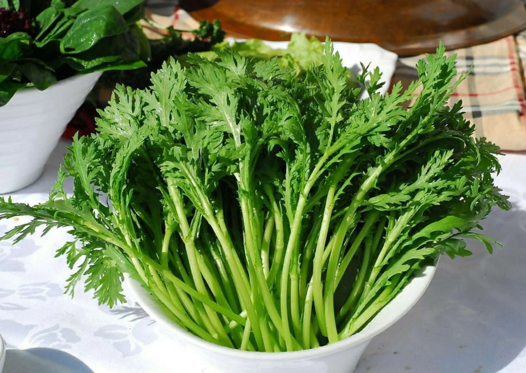 今日介绍一种蔬菜——茼蒿